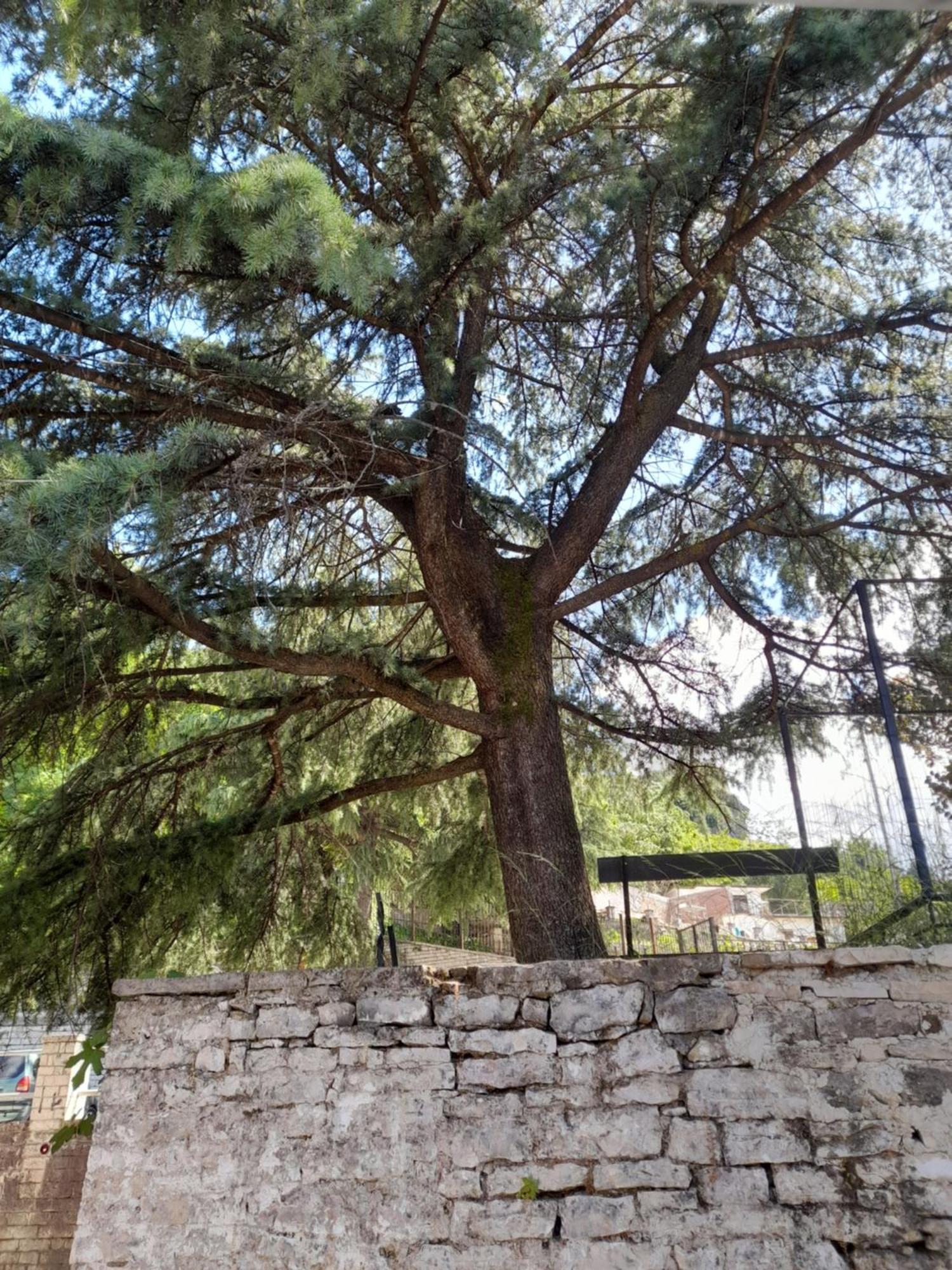 Guest House Ani Gjirokaster Exterior photo